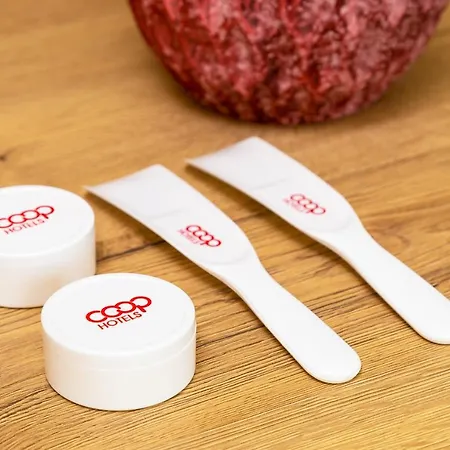 ホテル インテルクープ 2*