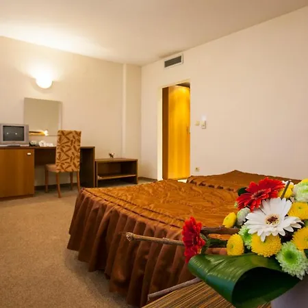 インテルクープ ホテル 2*