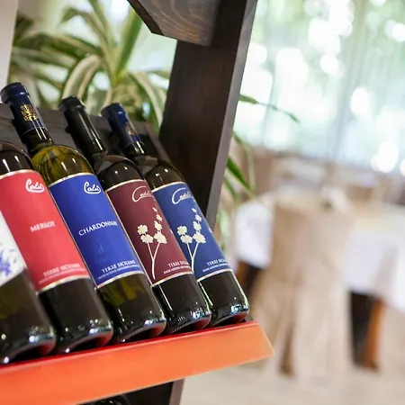 インテルクープ 2*